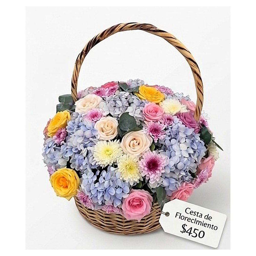 Cesta de Florecimiento Estacional